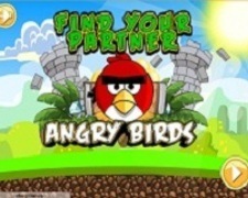 Angry Birds cauta partener