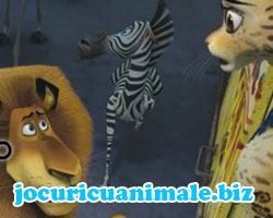 Animale din Madagascar