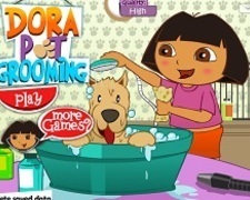 Ingrijeste Animale cu Dora