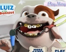 Catelul Luiz la Dentist