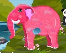 Elefantul Roz de Ingrijit