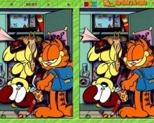 Gaseste Diferentele cu Garfield