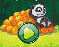 Panda vrea Portocale