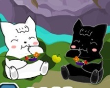 Pisica Alba si Pisica Neagra