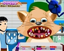 Pisica la Dentist