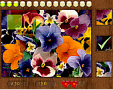 Puzzle cu flori