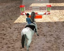 Sarituri cu Calul 3D