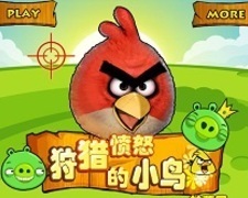 Vanatoare de Angry Birds